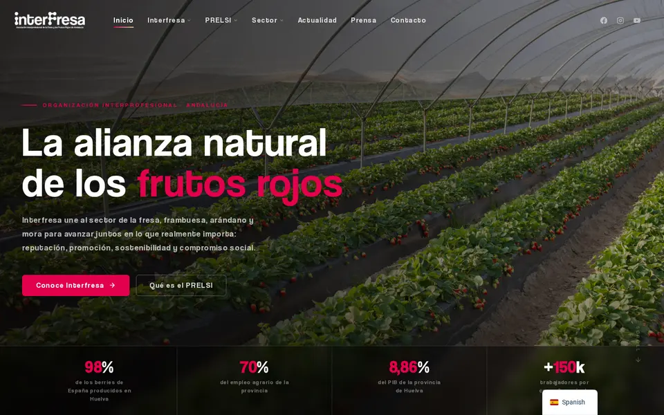 Web de interfresa.com diseñada por Boneluv