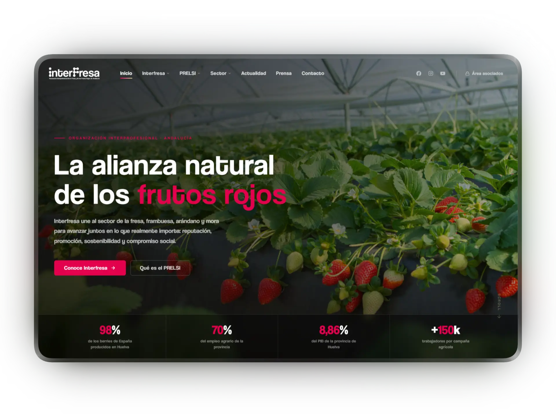 Diseño web a medida en Sevilla para empresas — Boneluv